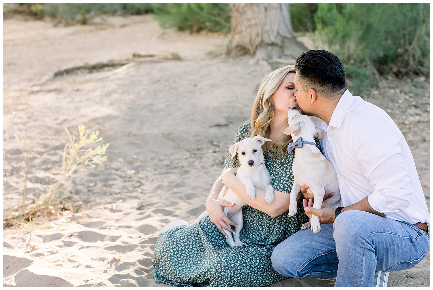 A spring couples session with their puppies, queen creek arizona