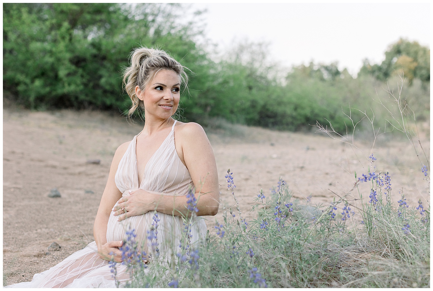 Delicate Maternity Session in the Wildflowers, Arizona Maternity Photographer