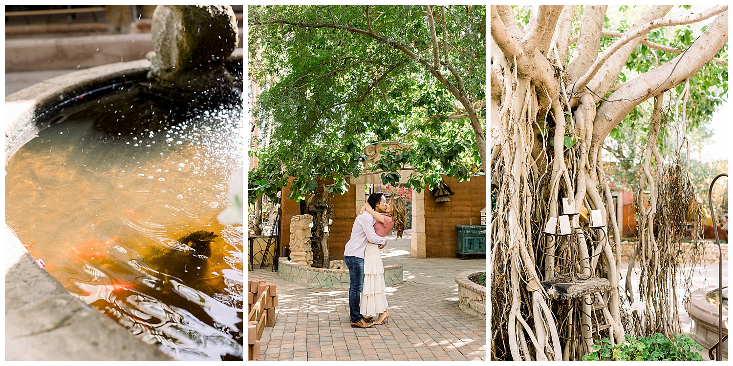Ten Year Anniversary Session at The Boojum Tree Hidden Gardens, Arizona Wedding Photographer