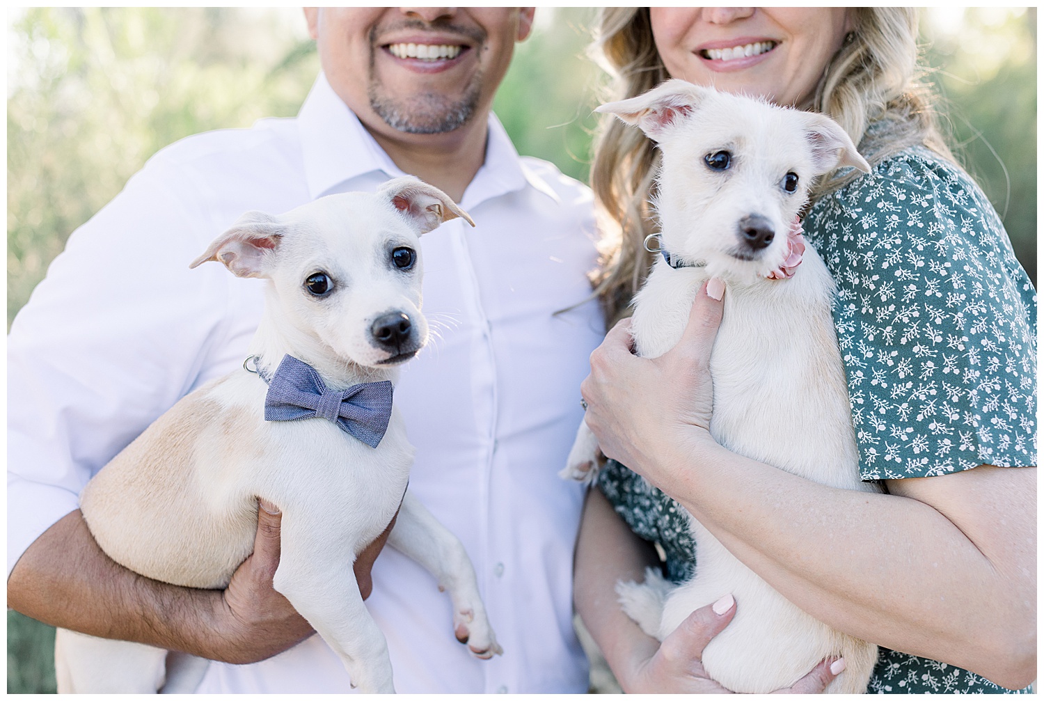 Puppies and love, a spring couples session in Queen Creek Arizona