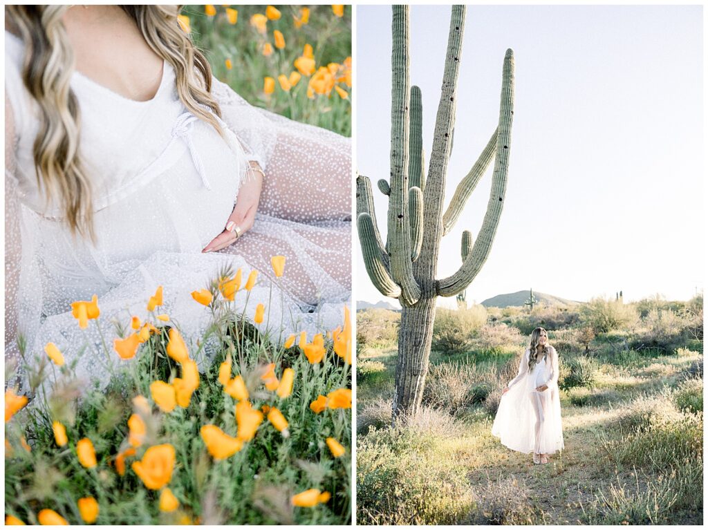 Wild Poppies in the desert Maternity Session